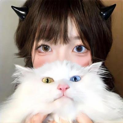 豆豆猫