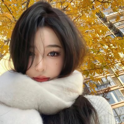 我在岛屿读书